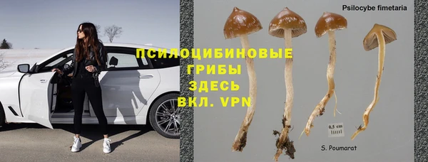 винт Арсеньев