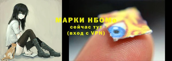 PSILOCYBIN Алзамай