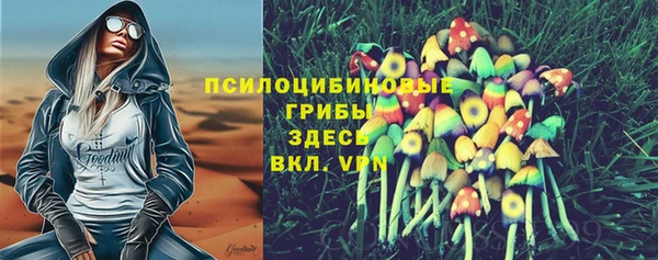 винт Арсеньев