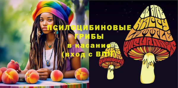 стафф Аркадак