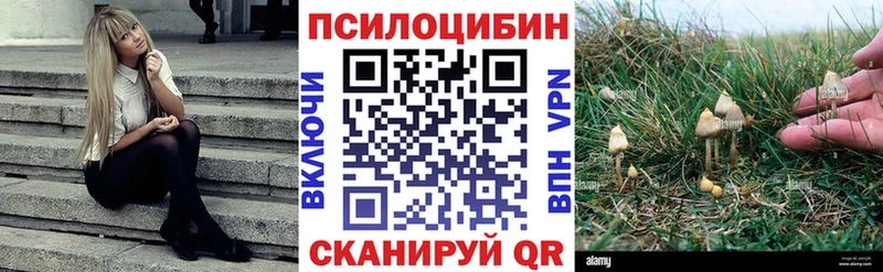 Псилоцибиновые грибы GOLDEN TEACHER  Сурск 